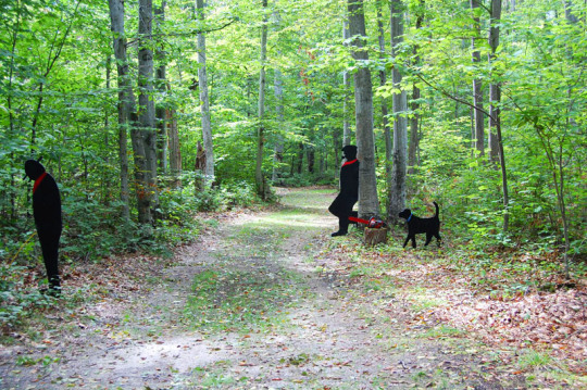 74 Bois Blanc Waldfiguren
