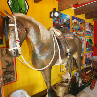 Pferdestall Isla Negra