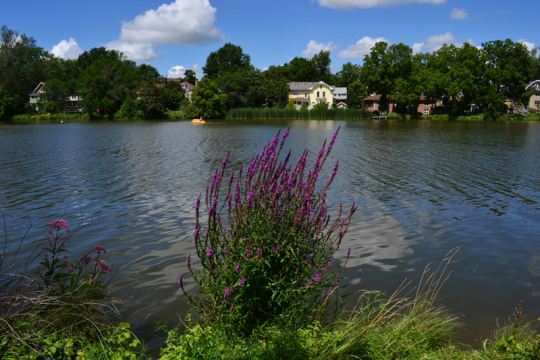 Flussufer sind beliebte Ziele der Forager.