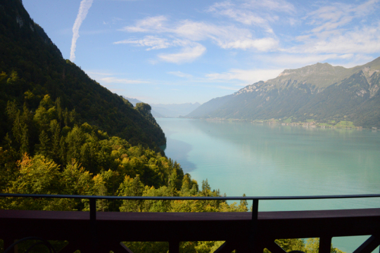 Blick auf den Brienzersee.