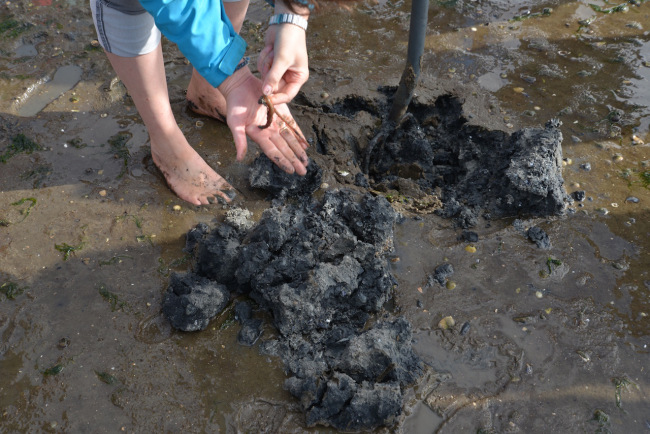 nach-wattwurm-graben