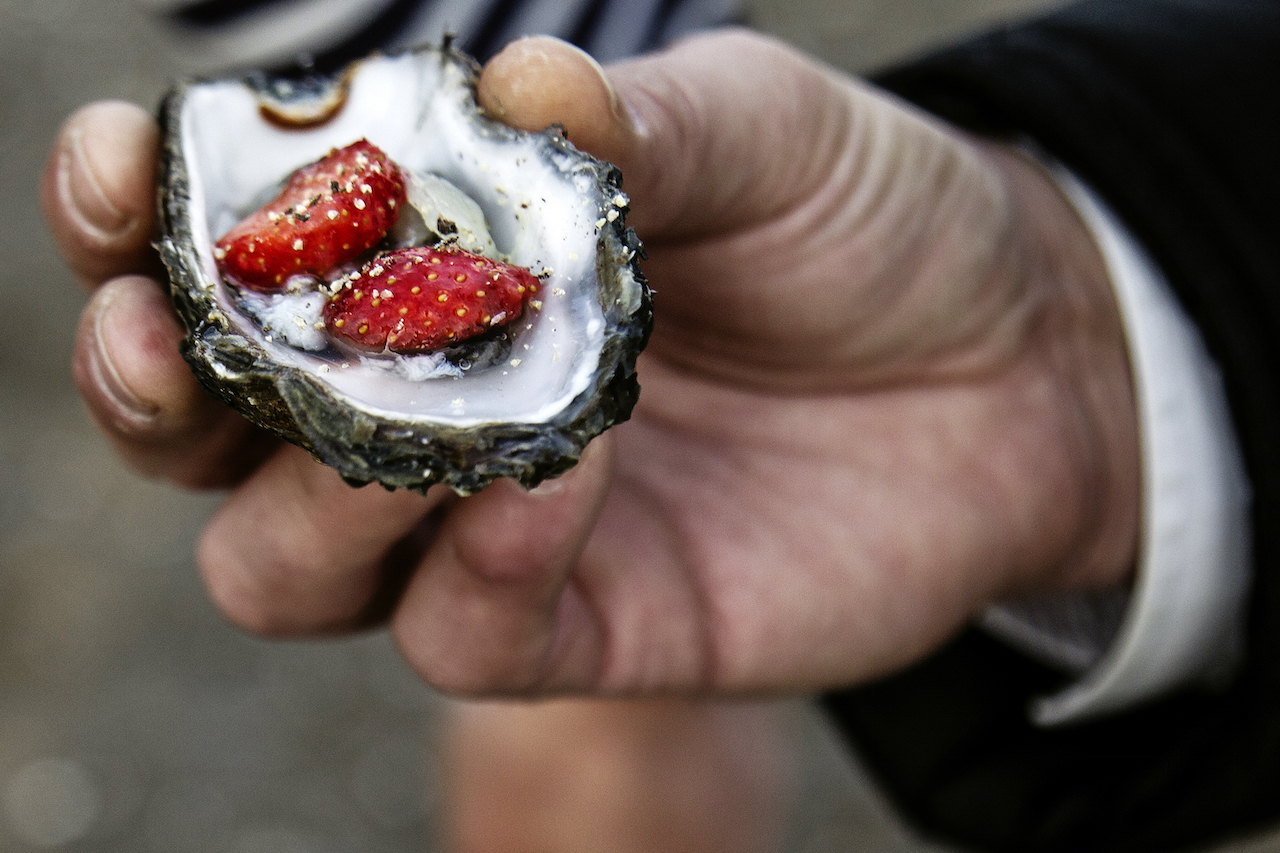 Austern 2